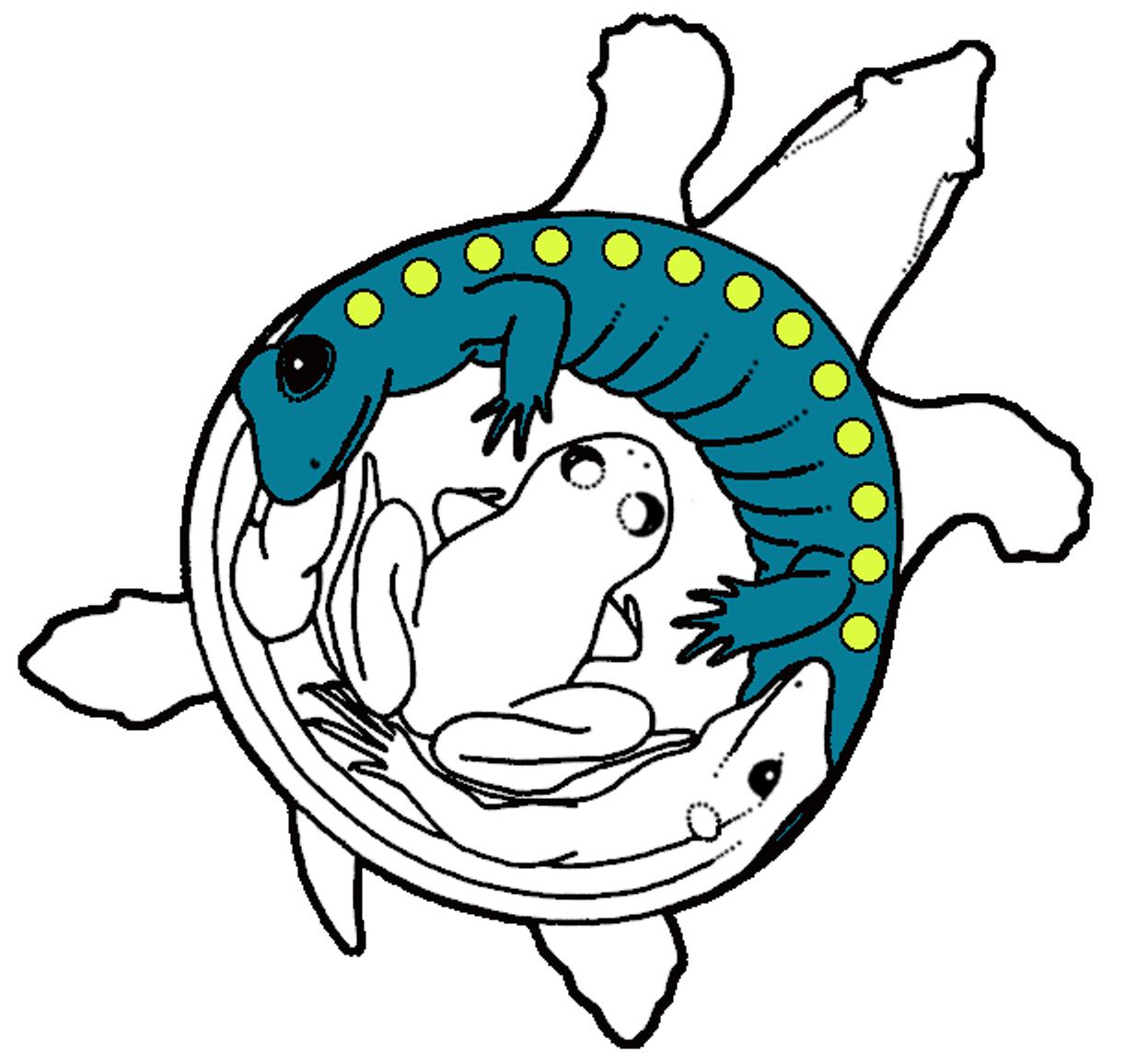 Logo1