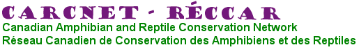 Canadian Amphibian and Reptile Conservation Network - Réseau Canadien de Conservation des Amphibiens et des Reptiles