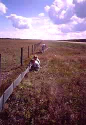 fence1