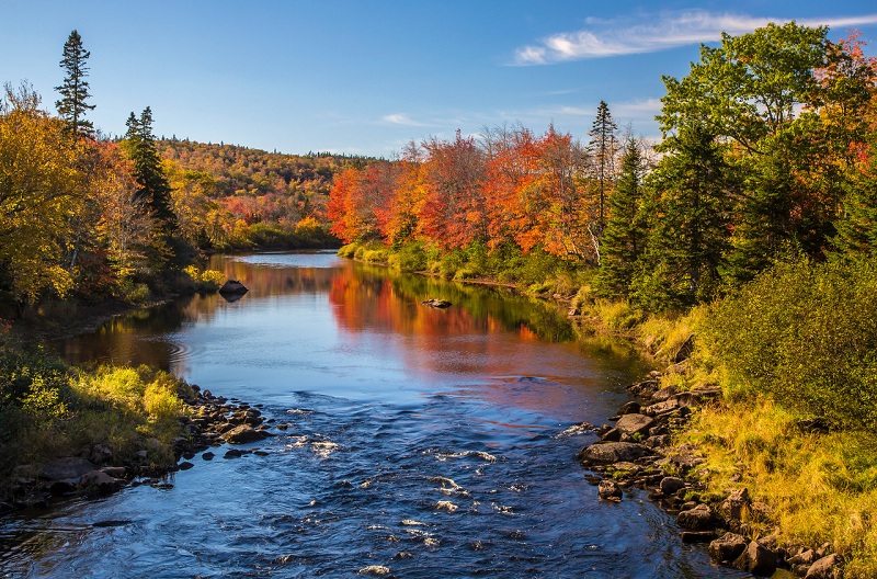 Musquodoboit River