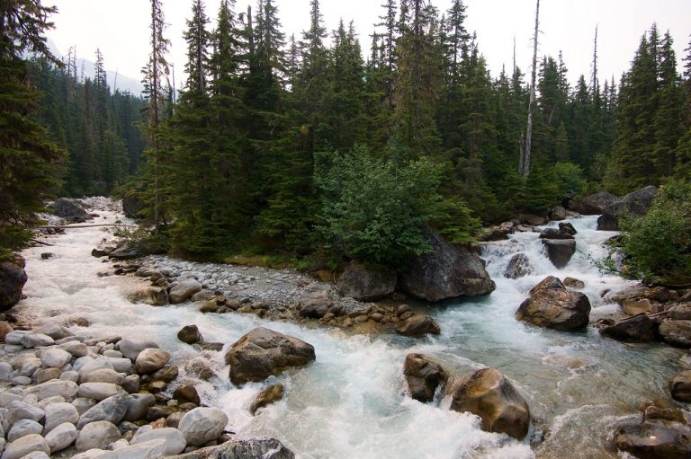 land and water protection in Canada